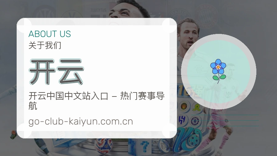 开云内容浏览体验